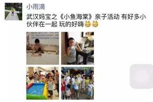 小鱼海棠最新爆料,揭秘神秘世界，探寻奇幻之旅