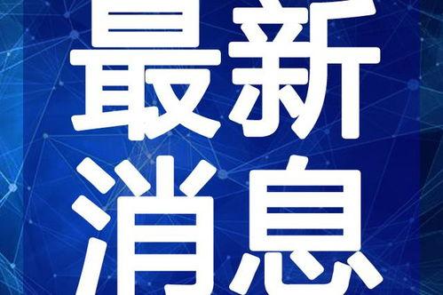 爆料装修纠纷案例最新视频,业主与装修队矛盾升级，维权之路艰难曲折