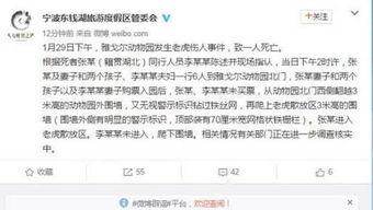 宁波事件爆料视频最新版,真相再起波澜，视频揭示惊人内幕
