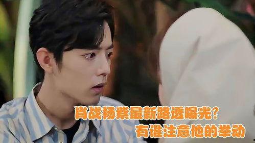 肖战杨紫爆料网友视频是真的吗,肖战杨紫爆料视频真实性揭秘