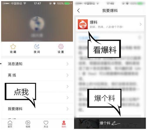 爆料视频在哪看到,爆料视频背后的秘密，带你一探究竟