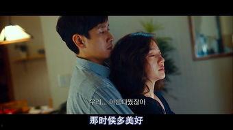 妻子的一切在线观看,揭秘婚姻背后的秘密与情感纠葛