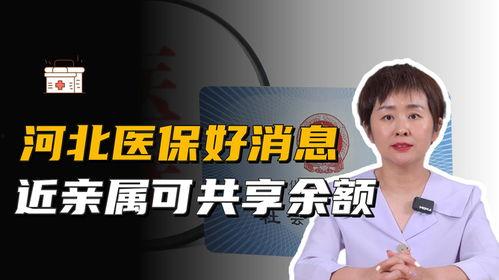 河北省保险最新爆料,揭秘最新爆料与行业趋势