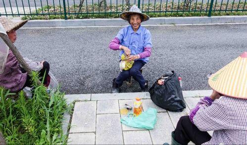 巴西大妈爆料新闻,震惊内幕揭露