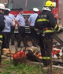本溪记者爆料事件最新情况,最新进展揭示惊人内幕