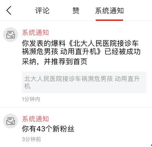 怎样在今日关注爆料,关注爆料，洞察社会动态
