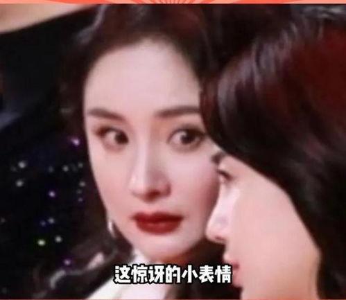 娱乐圈吃瓜文完结,真相大白，爱恨情仇终落幕
